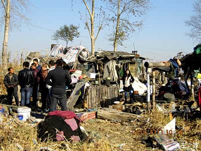 一位流浪老人和一群流浪狗的故事_吉林