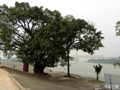 【三江汇流好风景】攀山戏水赏花摘果_广东