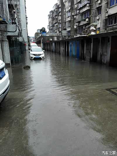 版主车子受台风影响,被淹!求安慰