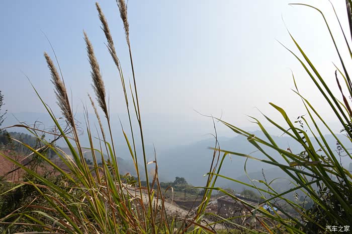 购二手车一波三折,家家好车助我成功购车