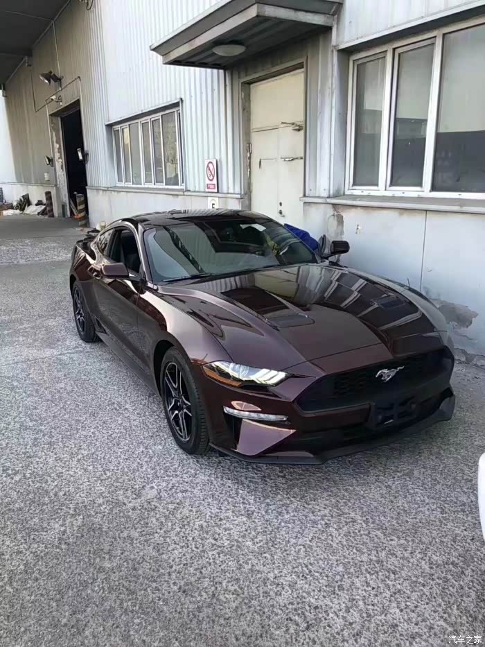 有好心人告诉下天津靠谱销售野马的联系方式吗近期有意天购车