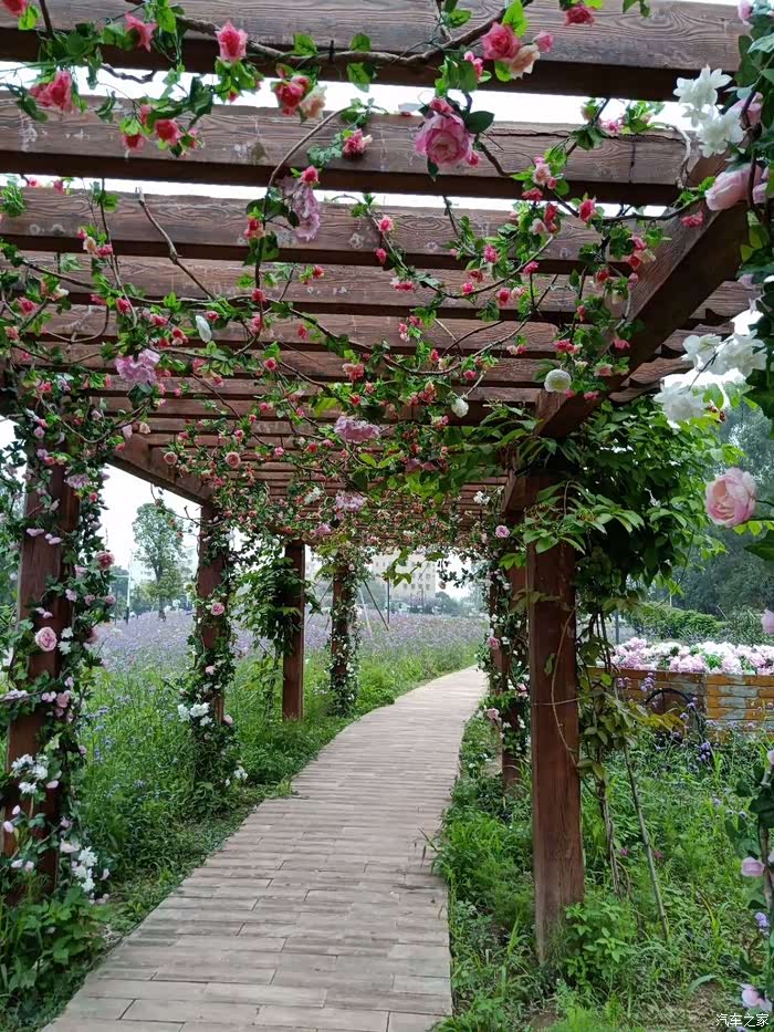 小嘉南海花卉博览园一日游