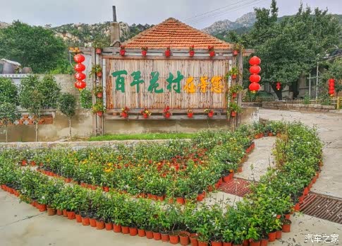 【每日一图】百年花村