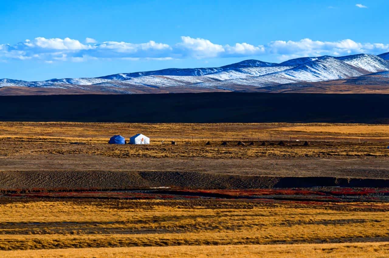 【图】巴颜喀拉山,雪山,蓝天,白云,牦牛构成了,一