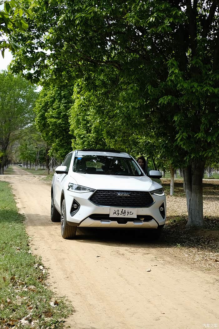 【游骑记】梦幻少女驾哈弗f7春游记:沉浸在京城郊外的满园春色里