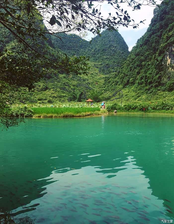 山涧清有山有水有鱼有美景打卡靖西鹅泉