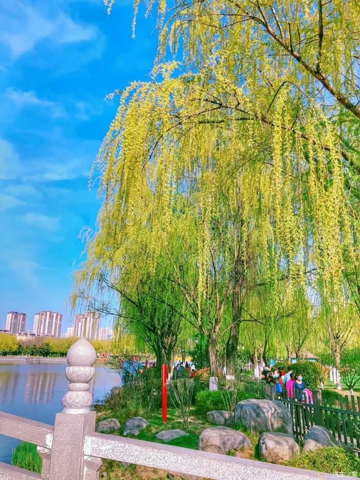 三月阳春,春风来,梨花儿开