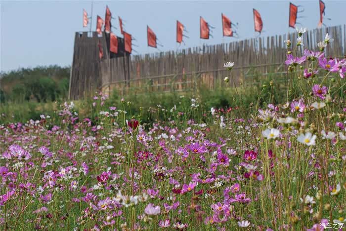 不负好春光--开哈5自驾木兰花海!