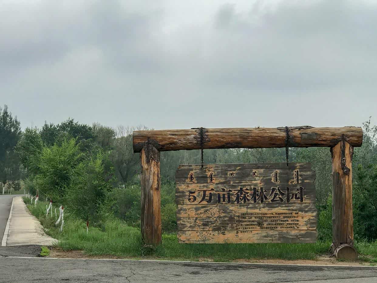 内蒙古的雅玛图森林公园中游客可以风景独占!