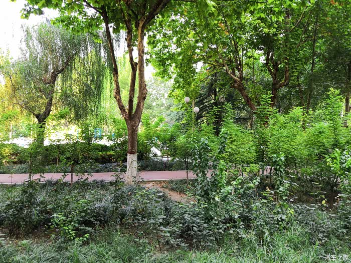 【雪域英雄战队】薇波公园游园1