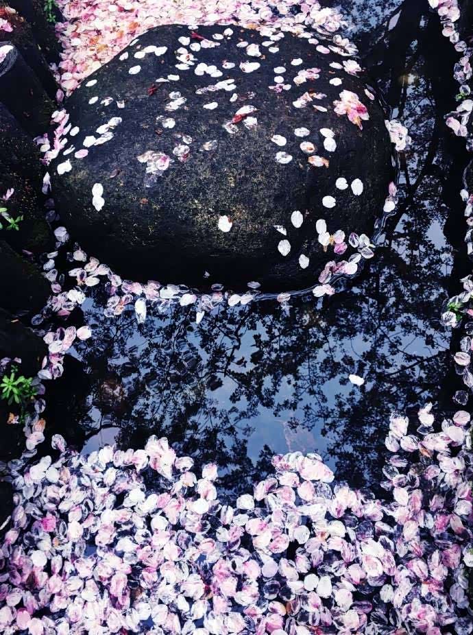 正是江南好风景落花时节又逢君