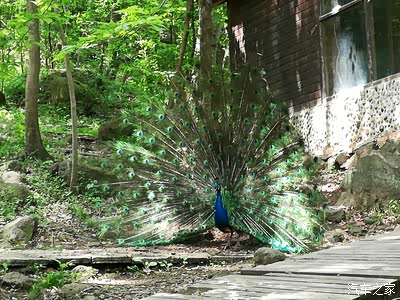 盱眙中国龙虾之都