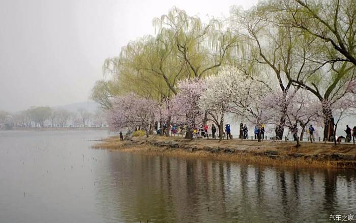 十里桃花香的頤和園西堤