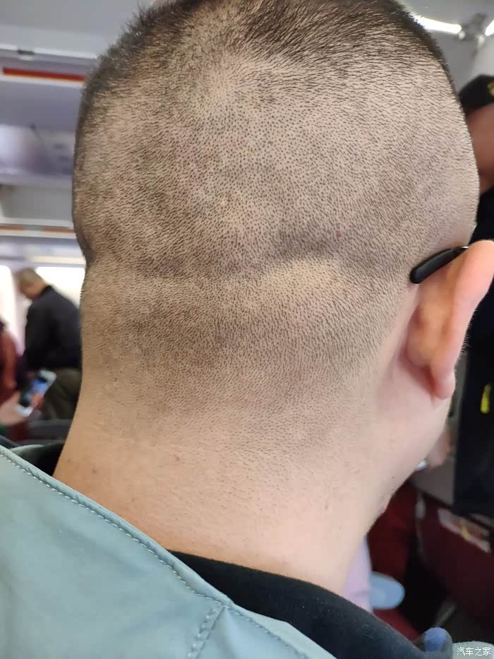 坏了我肉球脑袋裂了