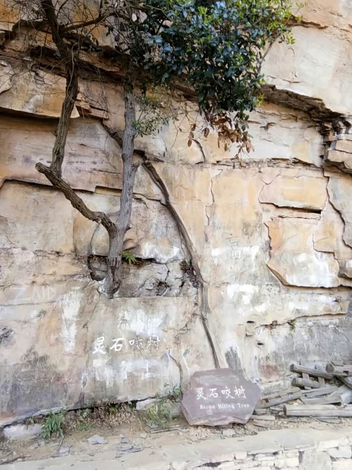 2019行走三湘大地poloplus自驾游记