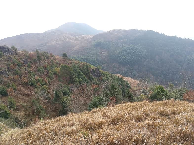 大年初一荒郊野外爬爬随拍