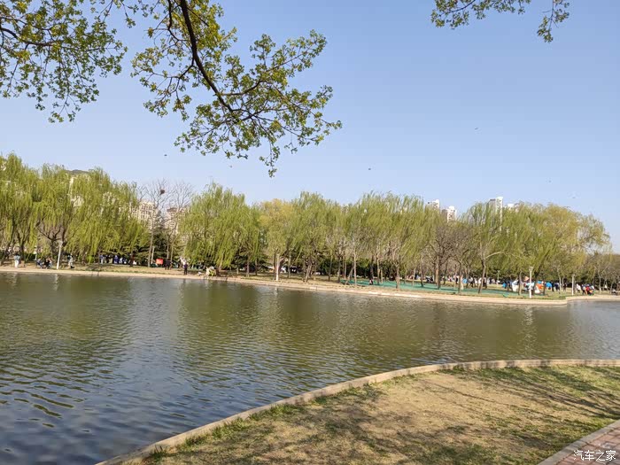 泰丰公园搭帐篷放风筝