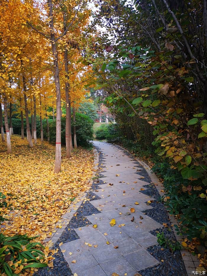 临潼鸣犊泉公园