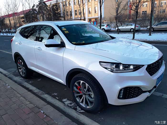 一#情迷索菲亚,你究竟见证了多少人的爱情_魏牌 vv6论坛_汽车之家论坛