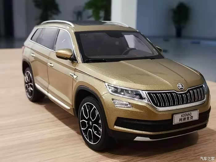 小柯迪特写一张