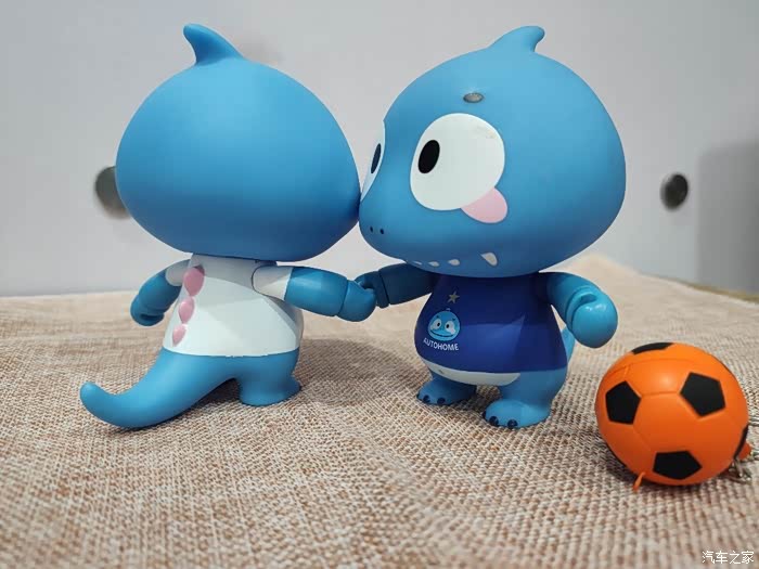 【家家众测 家家商城11.11】阿根廷-小恐龙