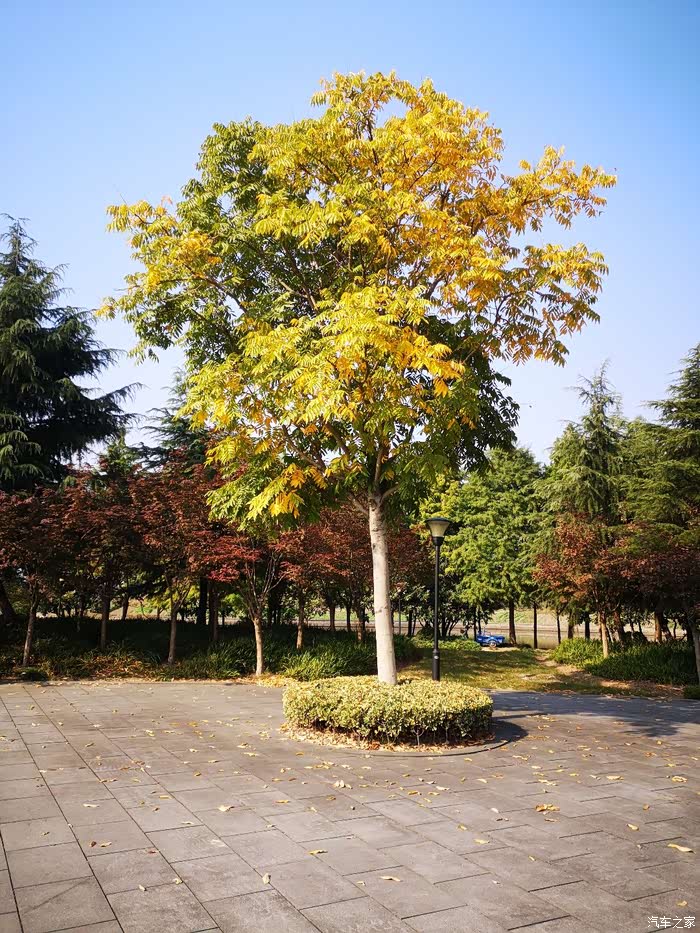 皇国山市民公园 秋日秋景