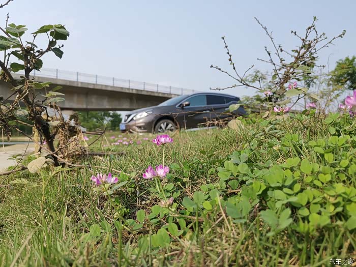 混动尊尚5000作业