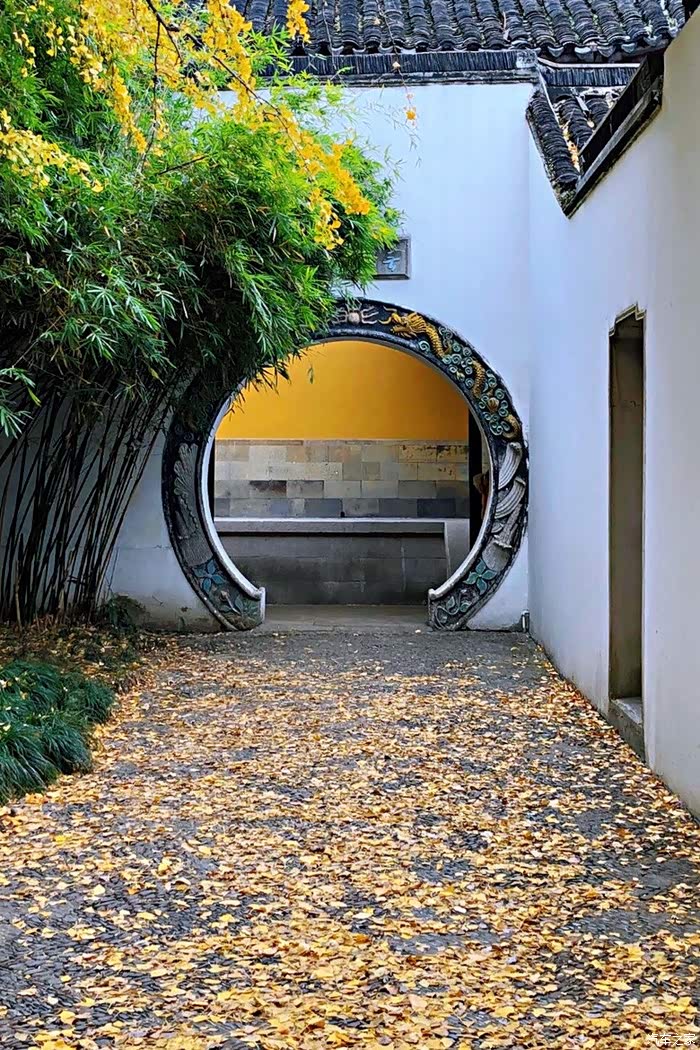 最美西园寺,银杏叶黄时,不会让你失望的