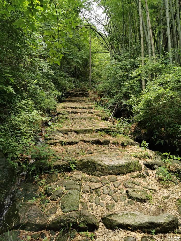 带上狗子爬山去上海一一绍兴日铸岭古道单程200km