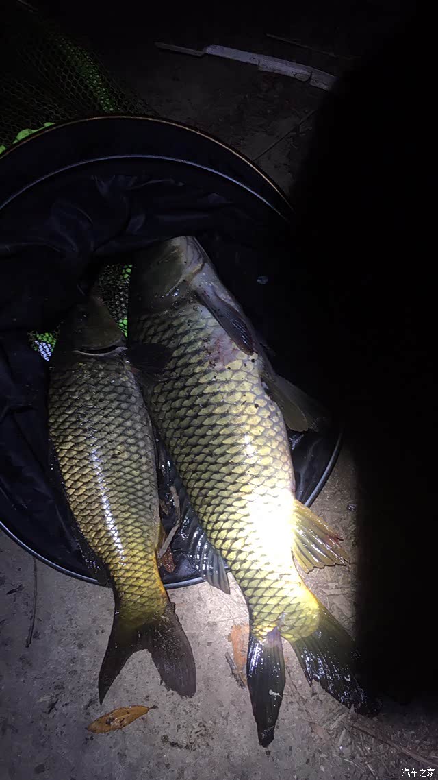 微山湖渡口夜钓