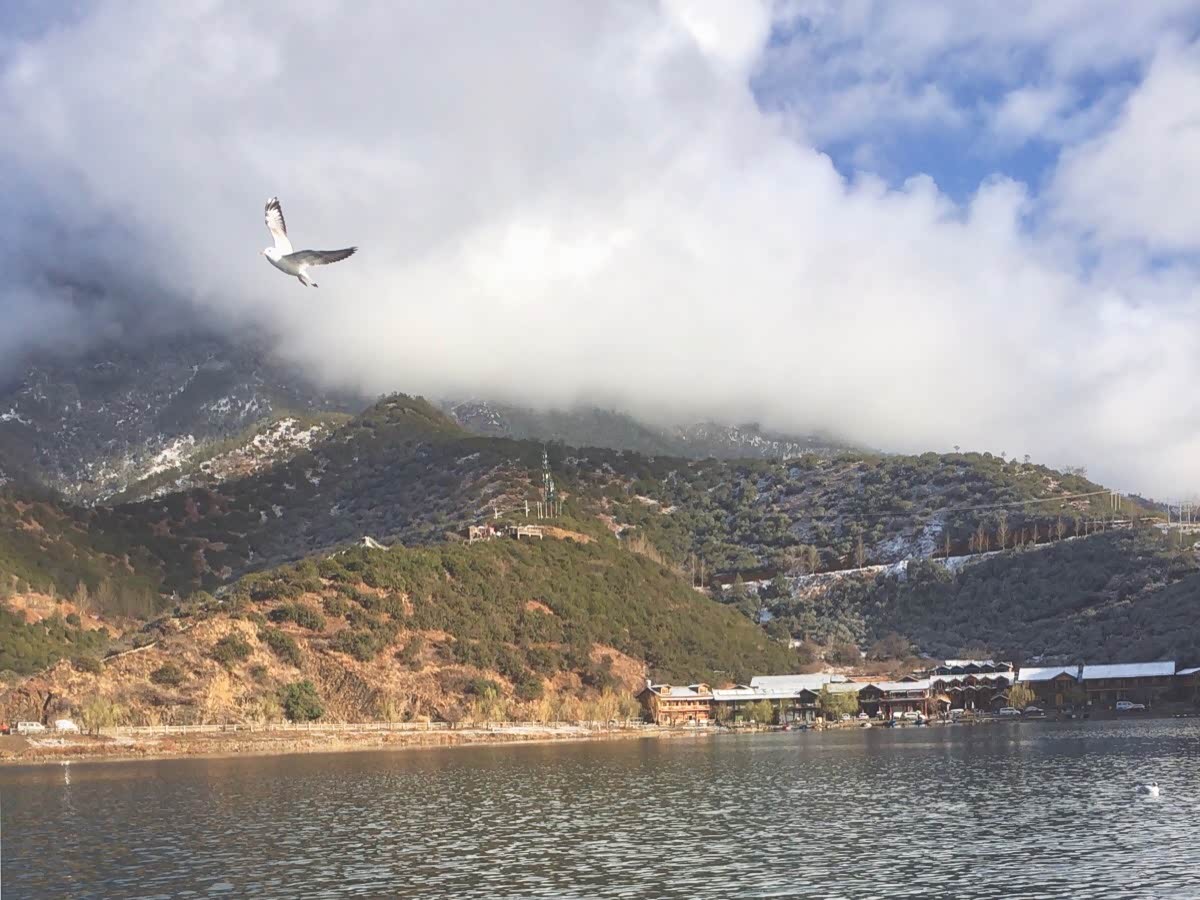 这是多么美好的瞬间,一幅令人痴迷的景象