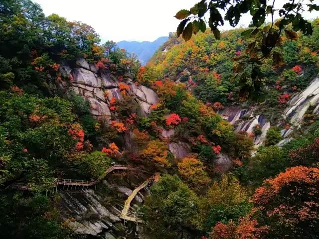 木札岭景区地处伏牛山脉的北麓,是河南首家原始生态旅游区