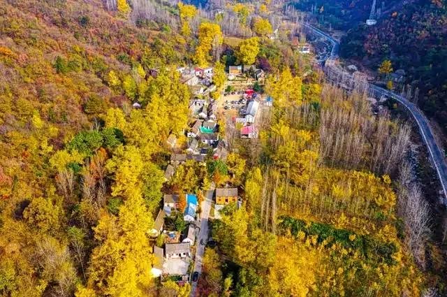 石场村是一条以石为名,因石出名的小山村