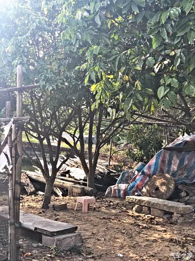 【欢天喜地迎新春】鞭炮响,满地红,絮絮烟火,带