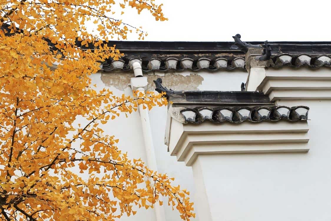 江南古镇,白墙黛瓦,小桥流水,烟雨朦胧.