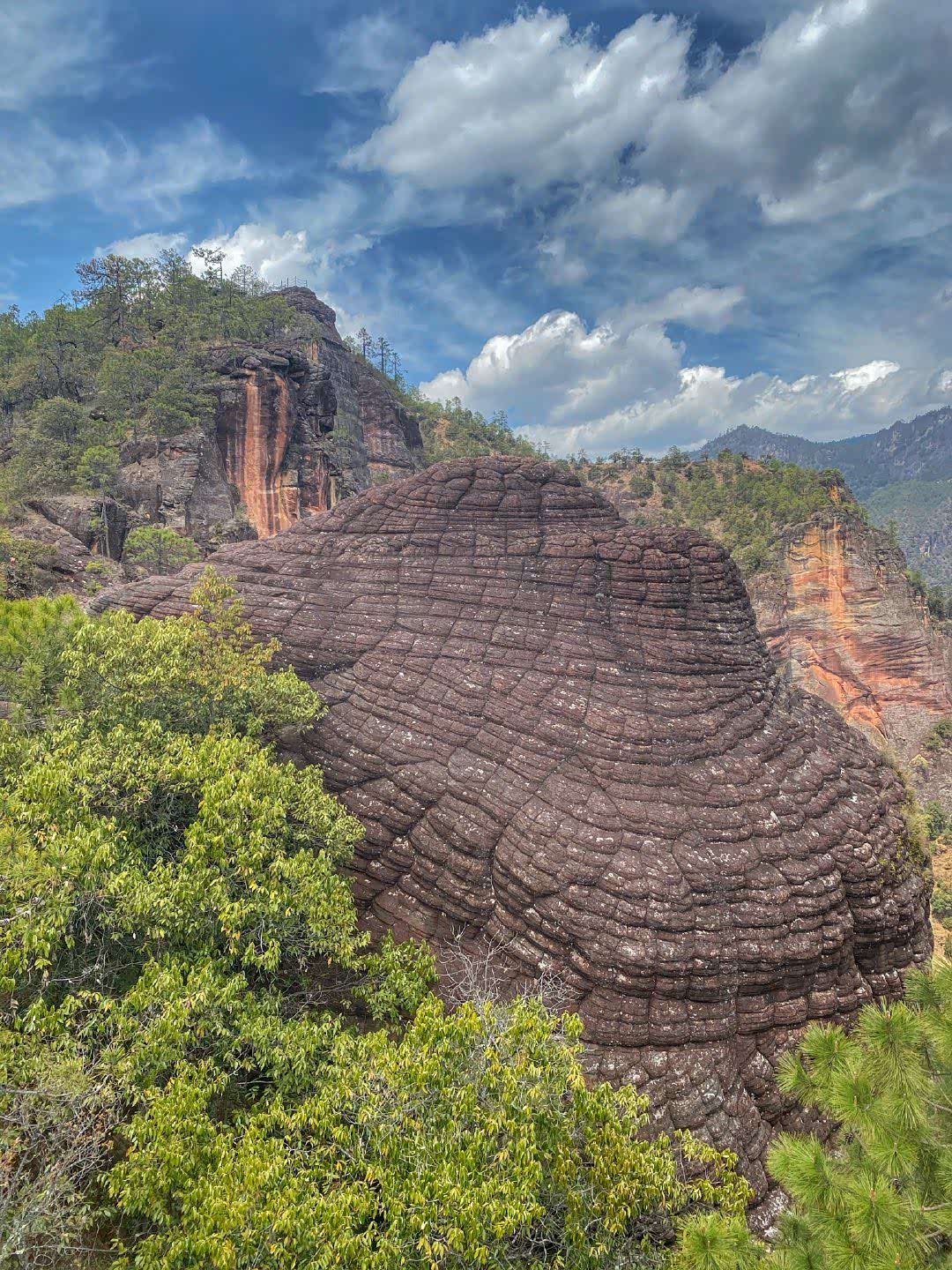 今天我来打卡老君山的黎明千龟山