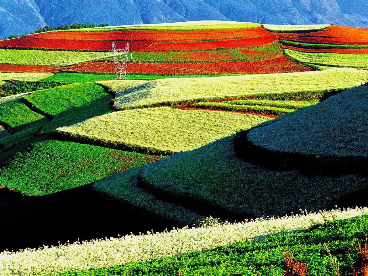 东川红土地镌刻在大地上的风景