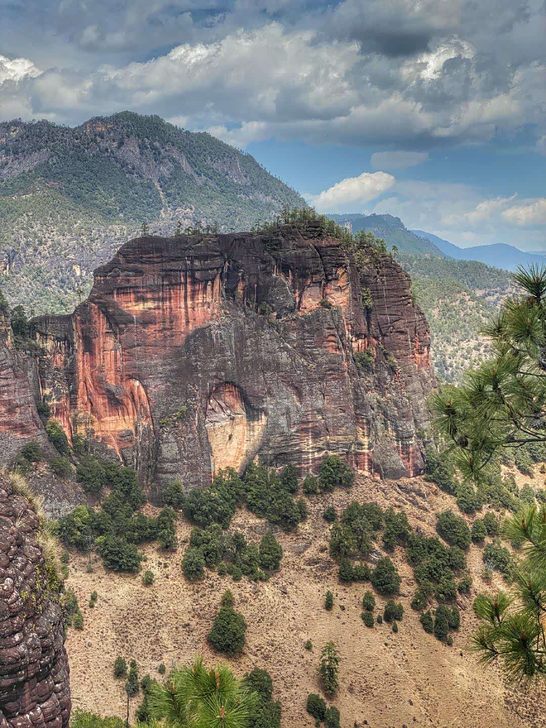 今天我来打卡老君山的黎明千龟山