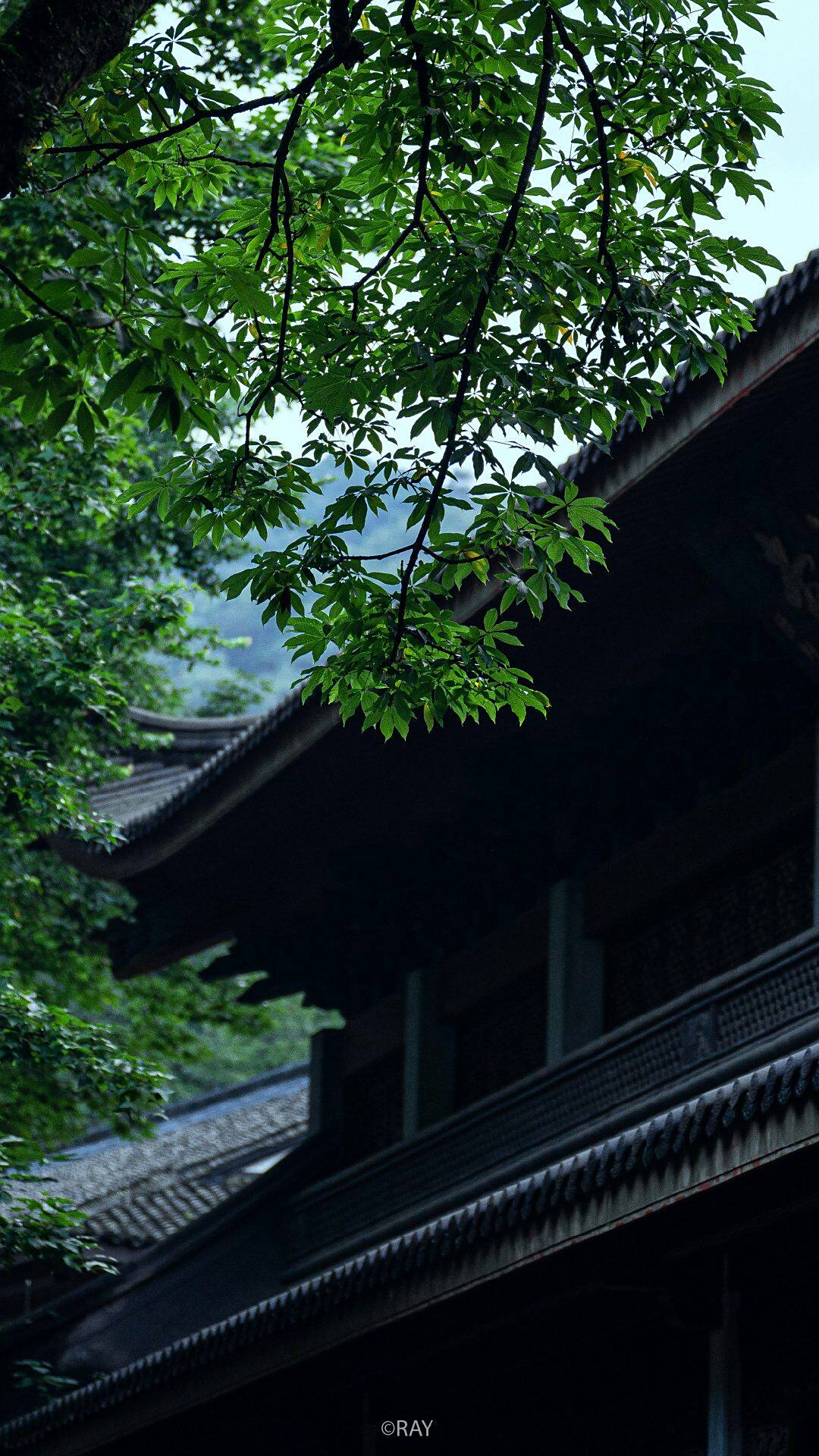 禅意 杭州灵隐寺