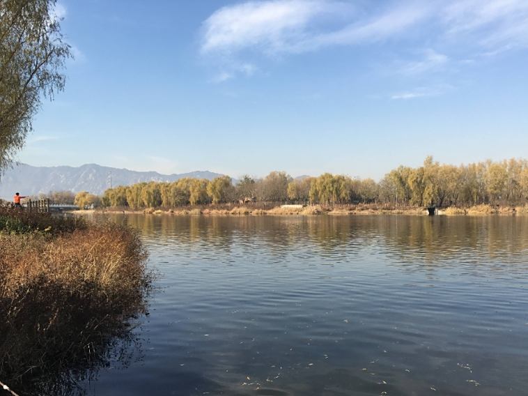 稻香湖溼地公園