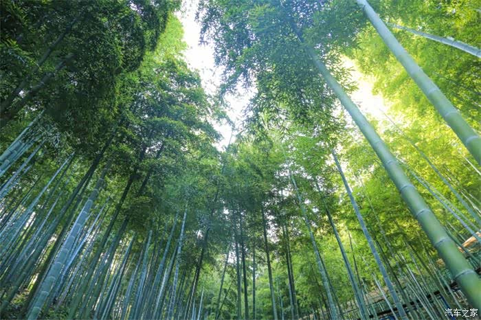 探寻卧虎藏龙拍摄地