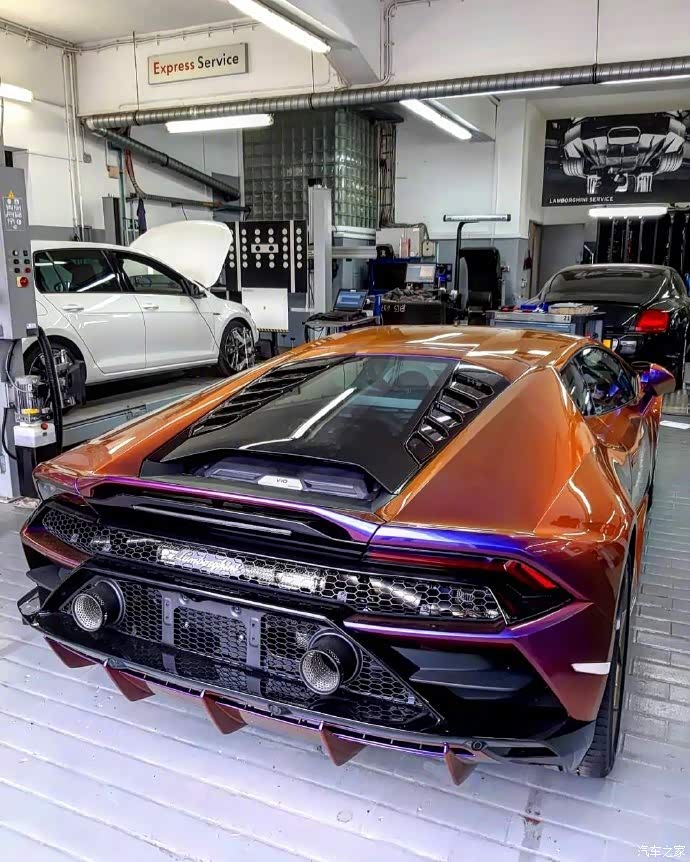 变色龙,兰博基尼 huracan evo!