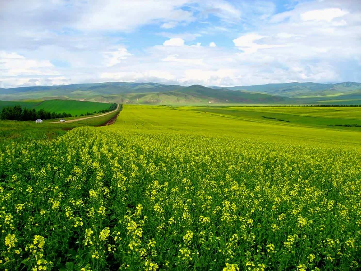 天高云淡,神清气爽的地方!