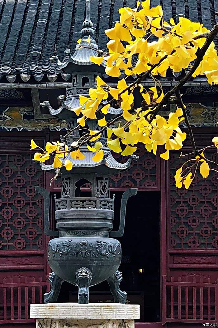 最美西园寺,银杏叶黄时,不会让你失望的