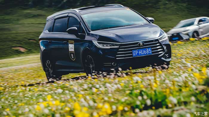 带着max去西藏之在毛垭大草原上尽情奔驰的宋max