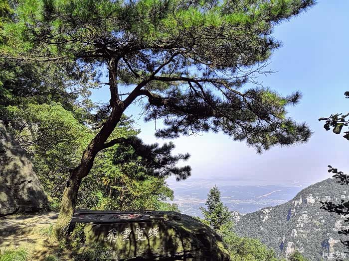 庐山的迎客松.