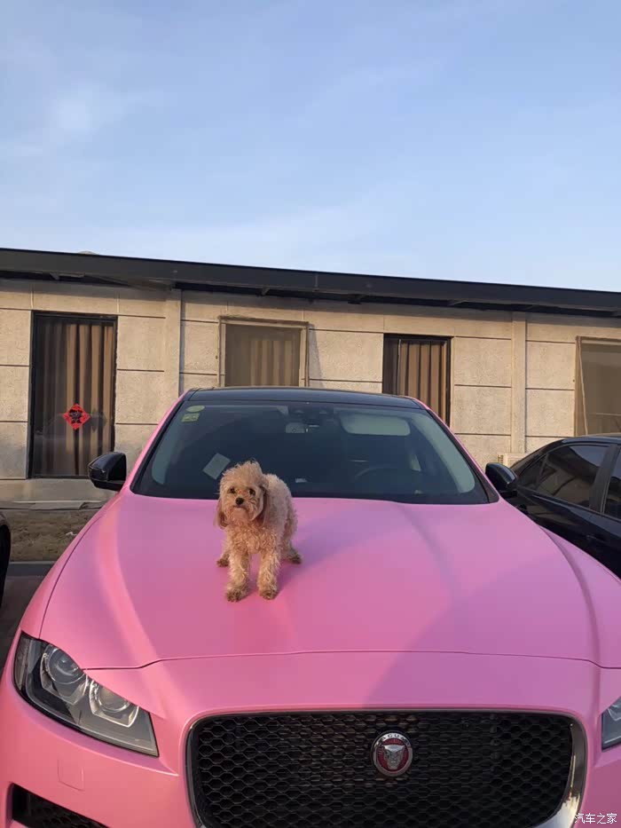 第一台粉色捷豹fpace打卡提车一年心得