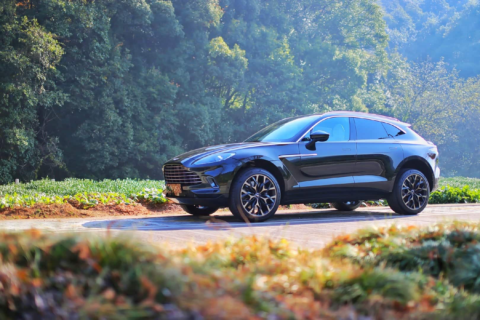 阿斯顿马丁最新推出的越野车同样时尚迷人