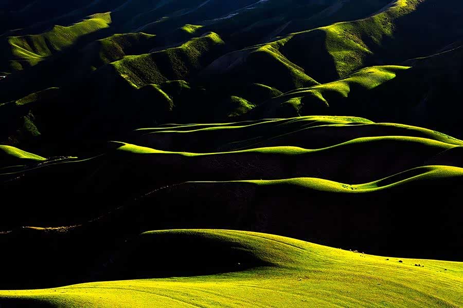 起伏不定,沟壑纵横的草原地貌