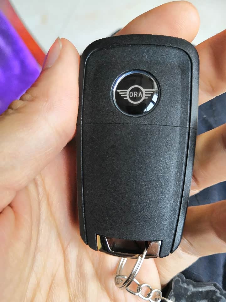 【图】改装折叠钥匙_欧拉黑猫论坛_汽车之家论坛